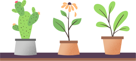 plant-image
